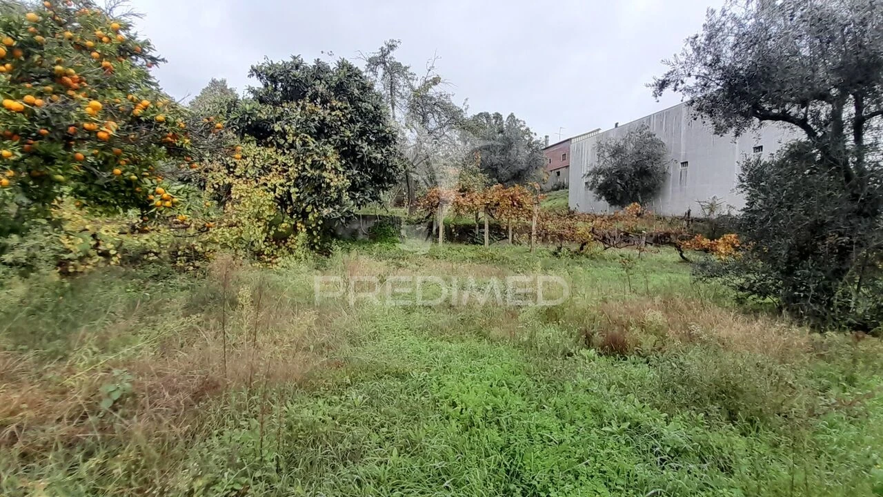 Terreno para Venda em Tortosendo Foto 18