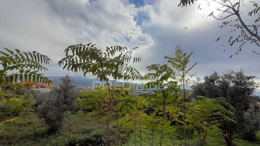Terreno para Venda em Tortosendo Foto 25