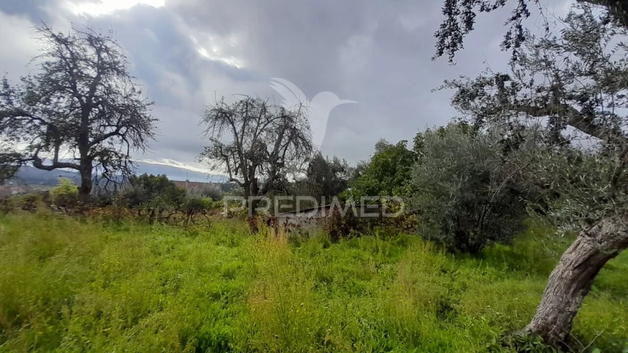Terreno para Venda em Tortosendo Foto 20