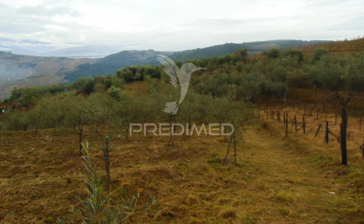 Terreno para Venda em Abaças Foto 5