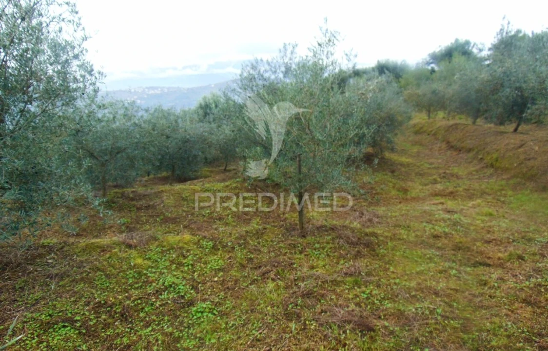 Terreno para Venda em Abaças Foto 15