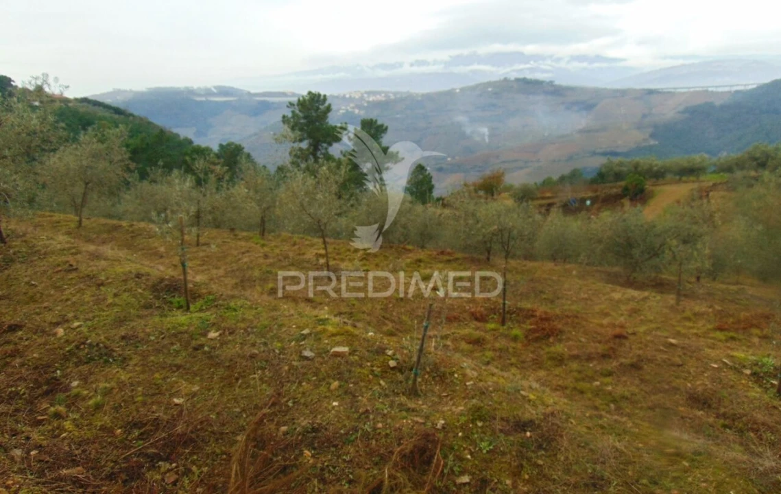 Terreno para Venda em Abaças Foto 12