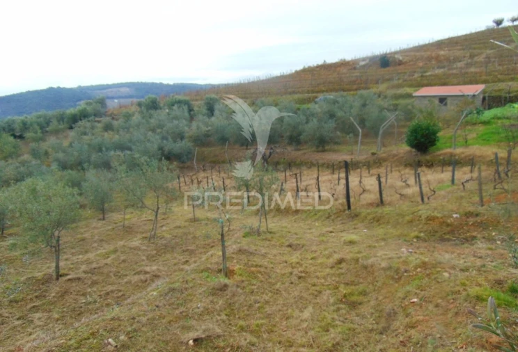 Terreno para Venda em Abaças Foto 4