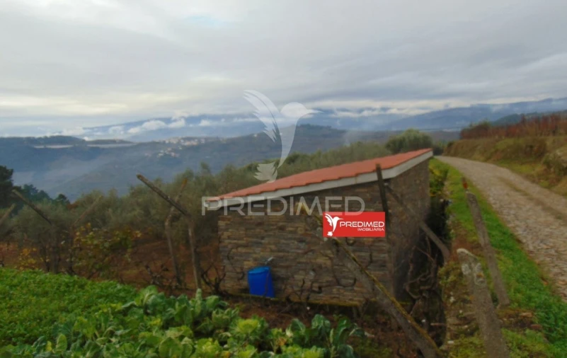 Terreno para Venda em Abaças Foto 27