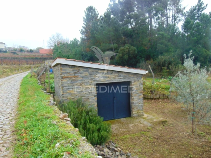 Terreno para Venda em Abaças Foto 25