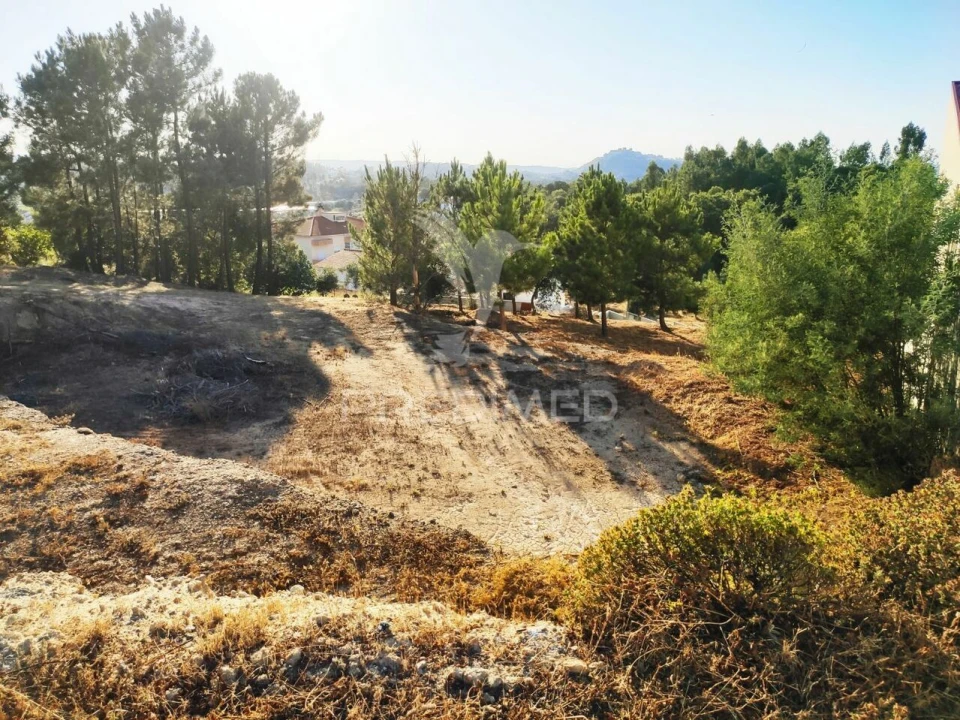 Terreno para Venda em Nossa Senhora das Misericordias Foto 6