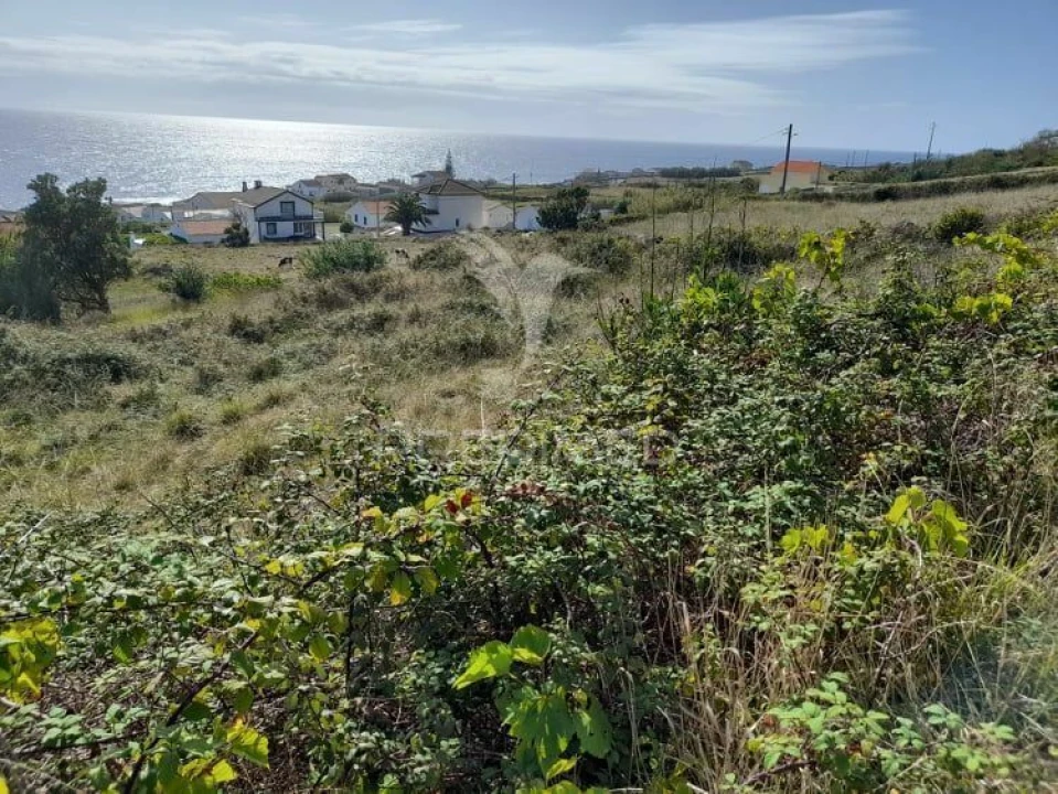 Terreno para Venda em Luz Foto 2