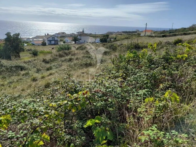 Terreno para Venda em Luz Foto 2