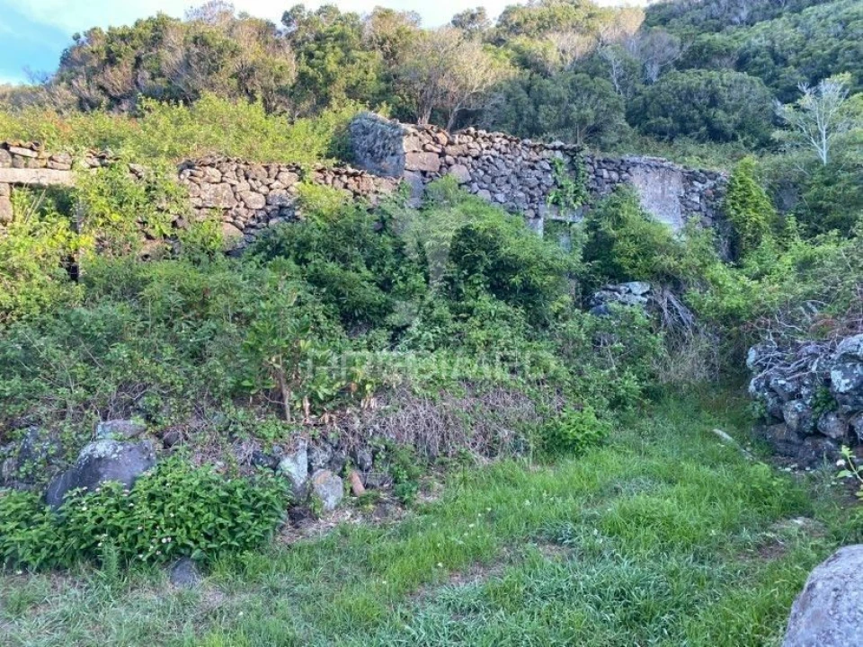 Moradia T0 para Venda em Luz Foto 2