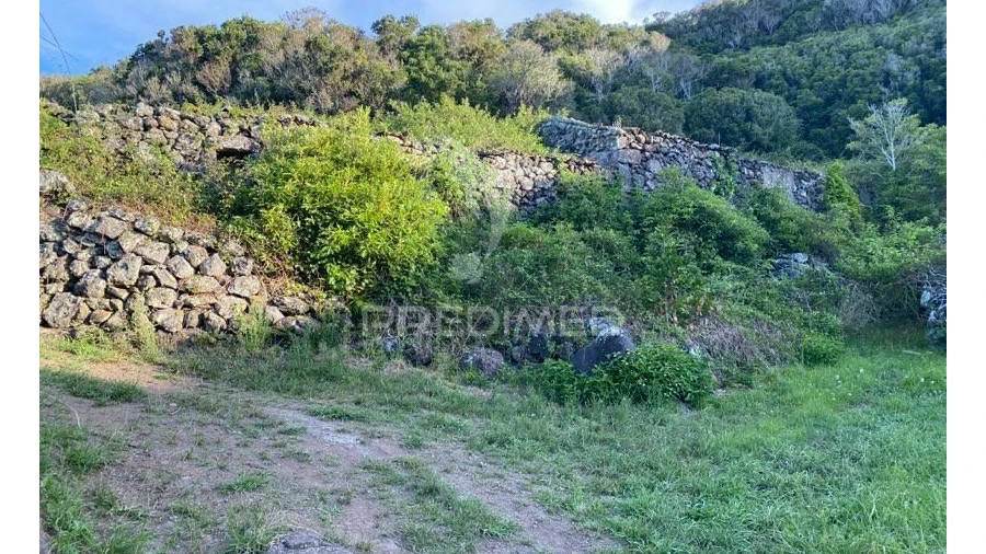 Moradia T0 para Venda em Luz