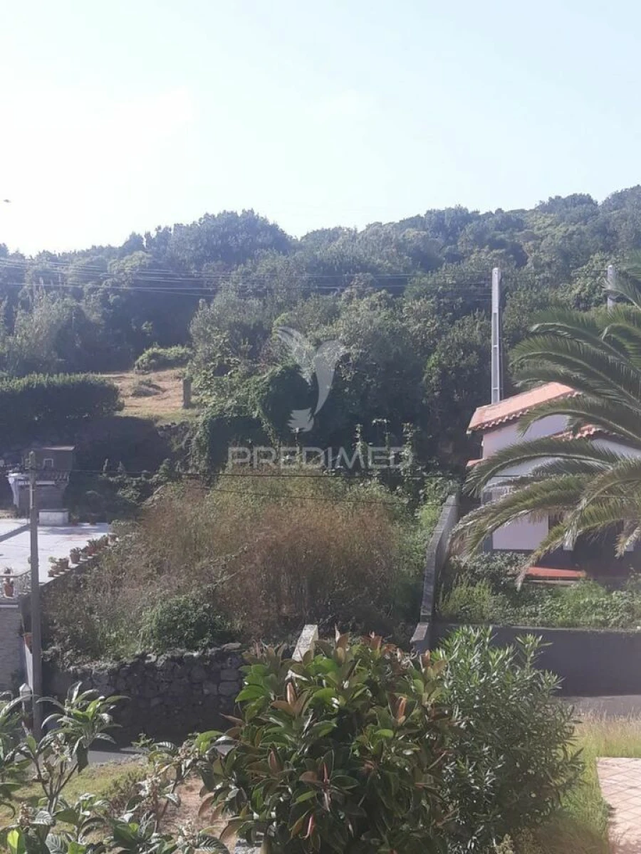 Terreno para Venda em Luz Foto 2