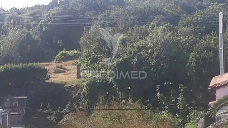 Terreno para Venda em Luz