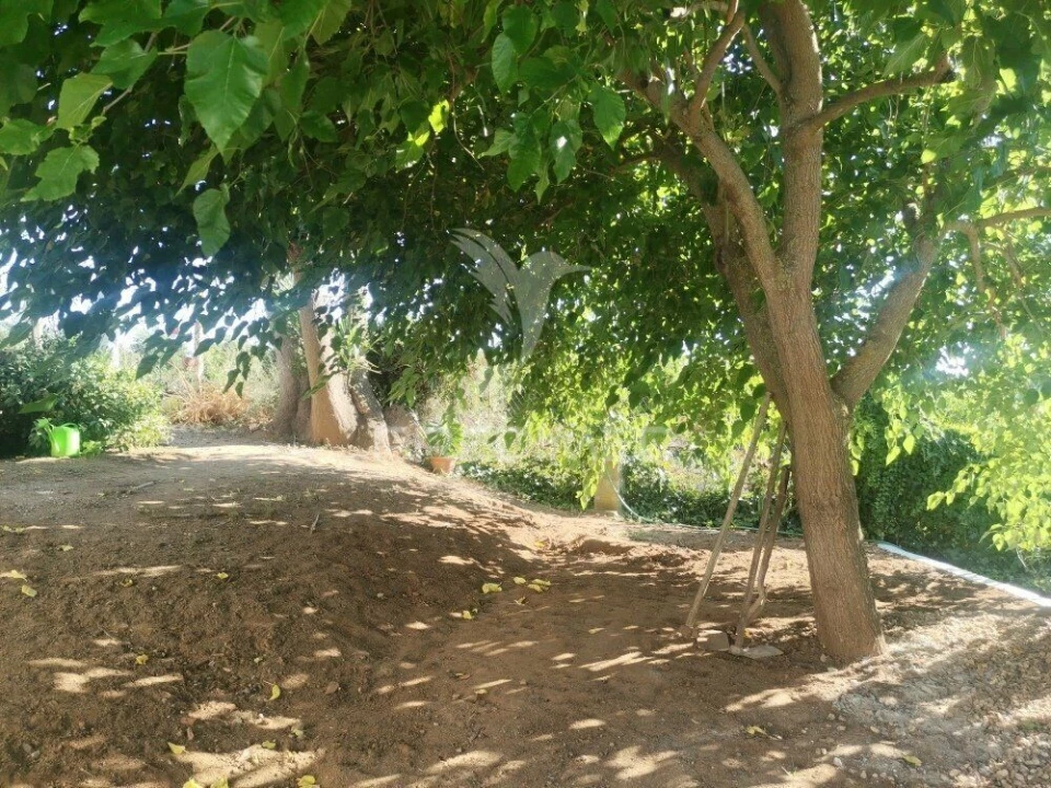 Quinta T5 para Venda em Nossa Senhora das Neves Foto 11