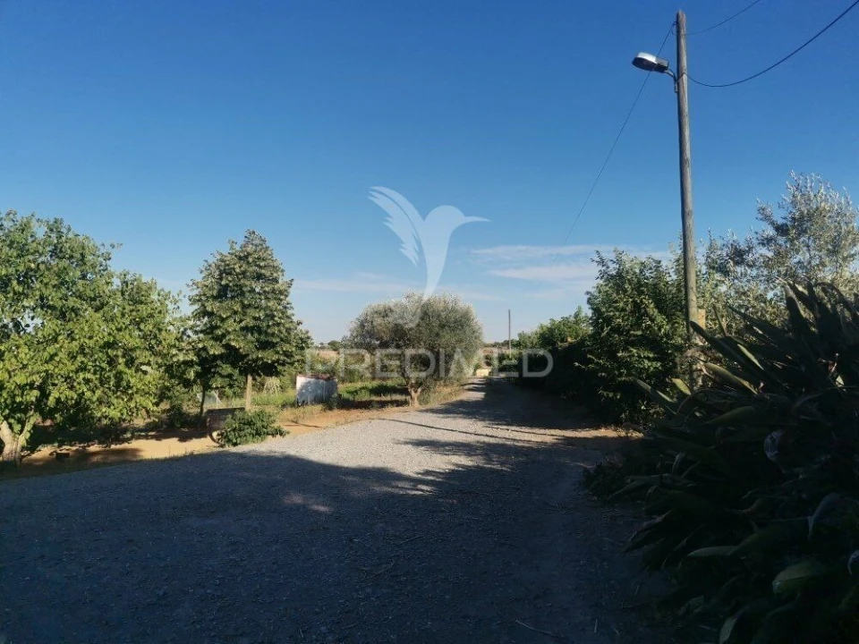 Quinta T5 para Venda em Nossa Senhora das Neves Foto 14