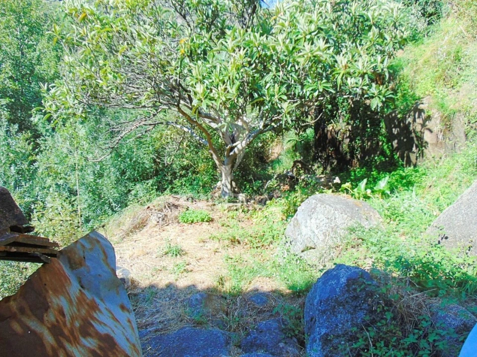 Moradia T2 para Venda em Parada de Cunhos Foto 22