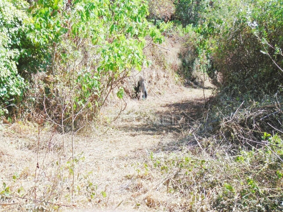 Moradia T2 para Venda em Parada de Cunhos Foto 33
