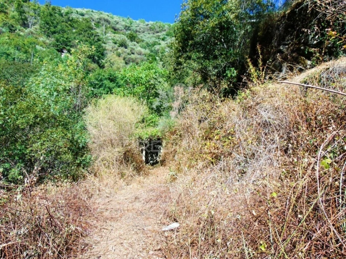 Moradia T2 para Venda em Parada de Cunhos Foto 36