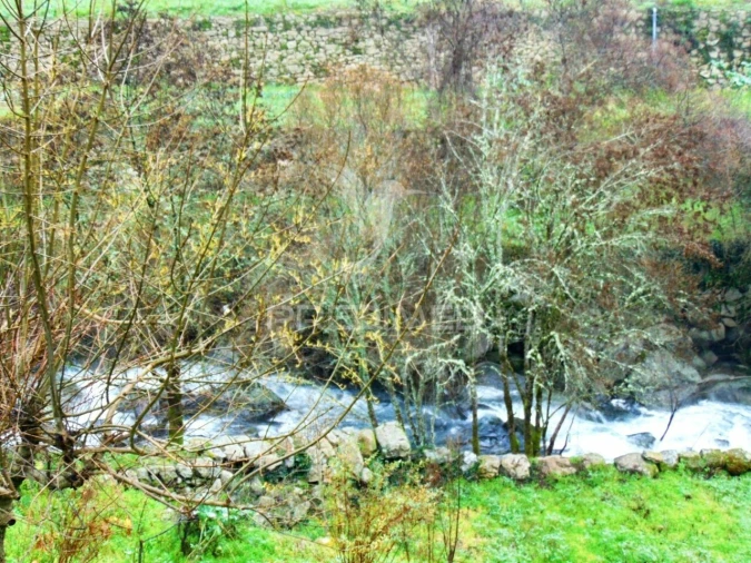 Moradia T2 para Venda em Parada de Cunhos Foto 37