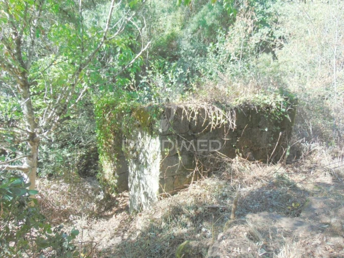 Moradia T2 para Venda em Parada de Cunhos Foto 35