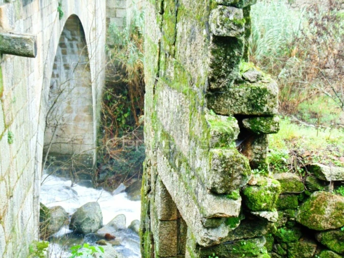 Moradia T2 para Venda em Parada de Cunhos Foto 39