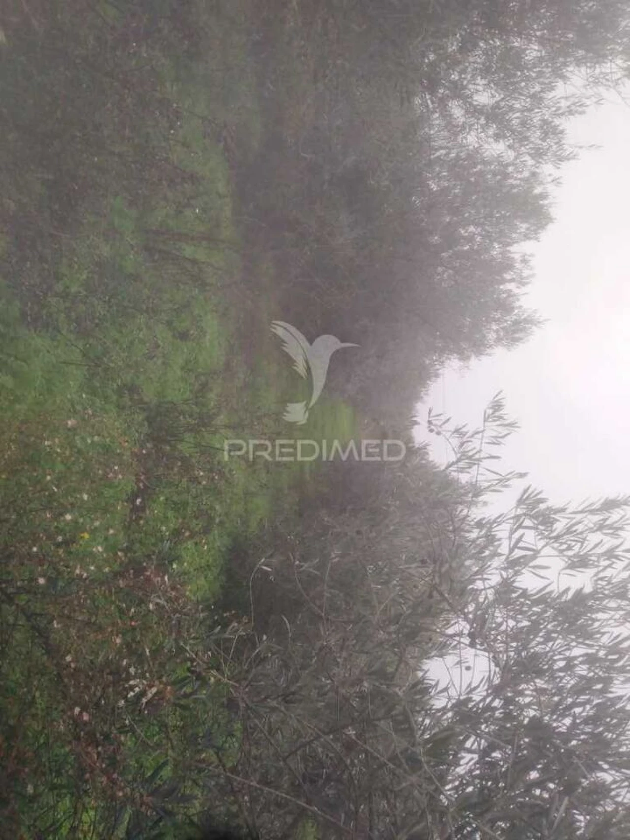 Terreno para Venda em Fontelo Foto 9