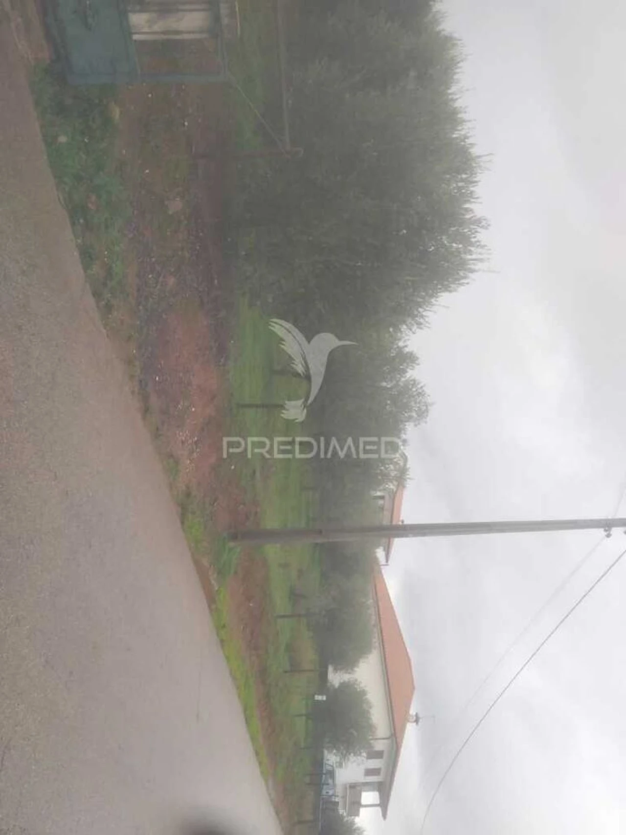 Terreno para Venda em Fontelo Foto 11