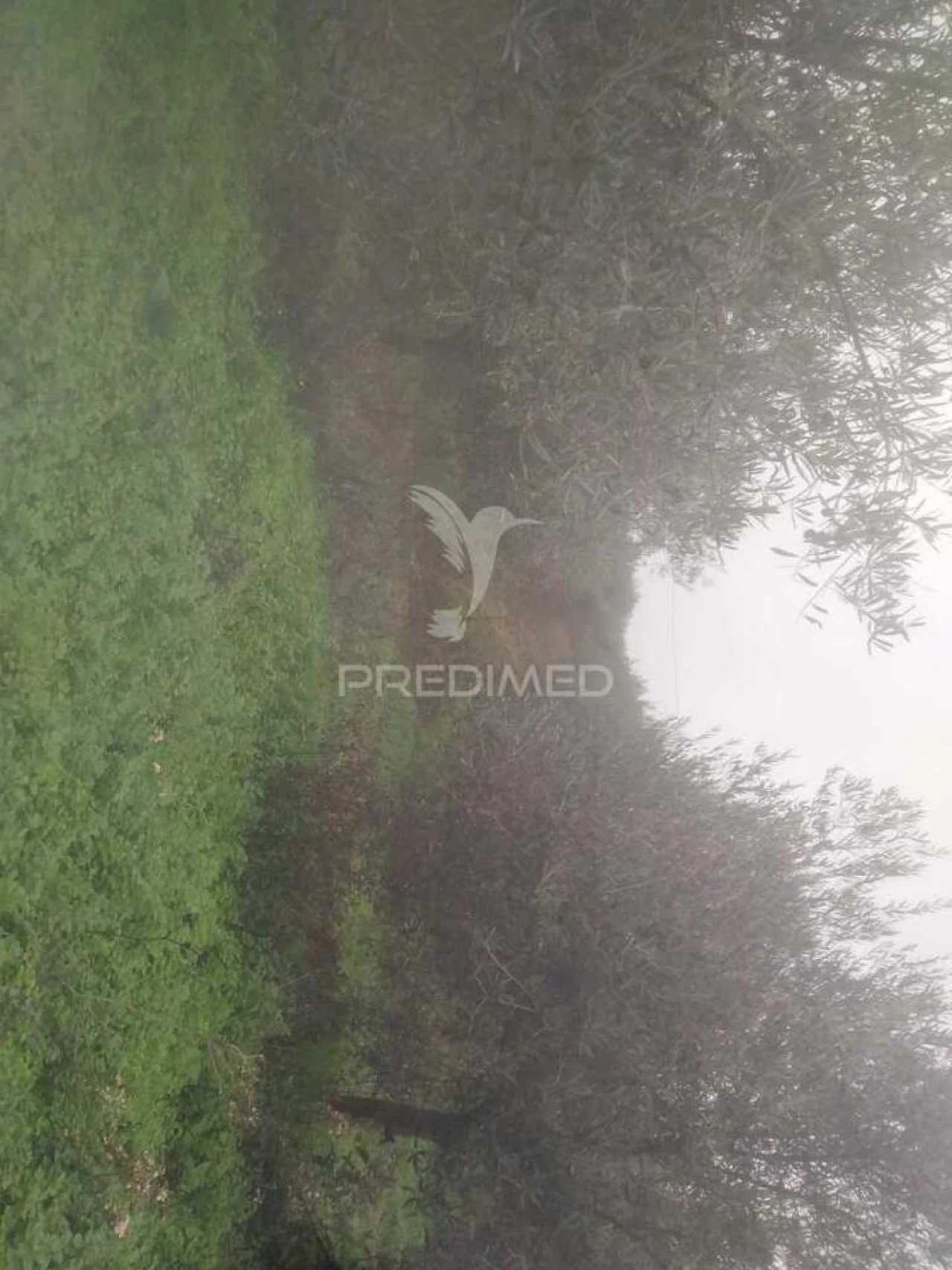 Terreno para Venda em Fontelo Foto 2