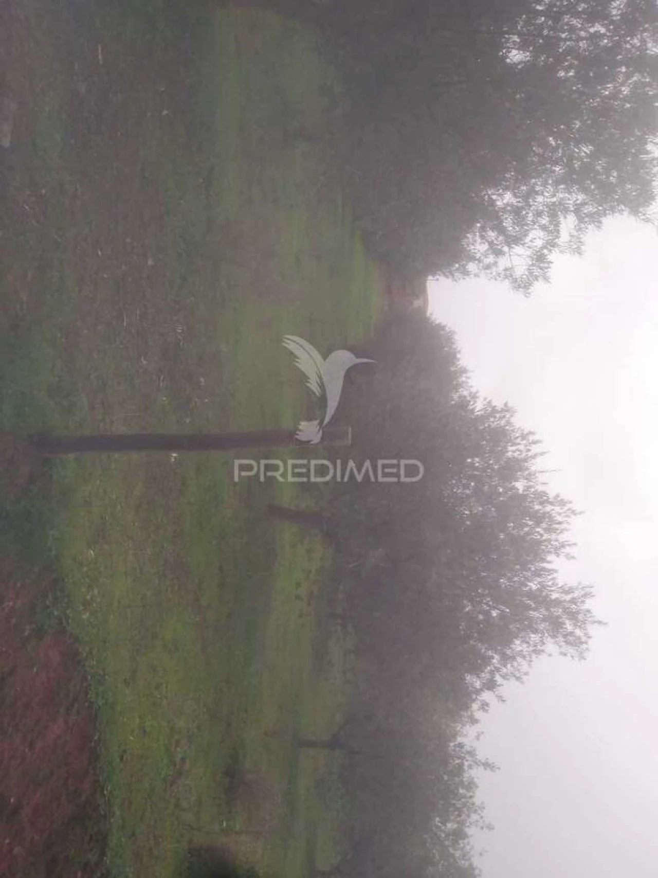 Terreno para Venda em Fontelo Foto 12