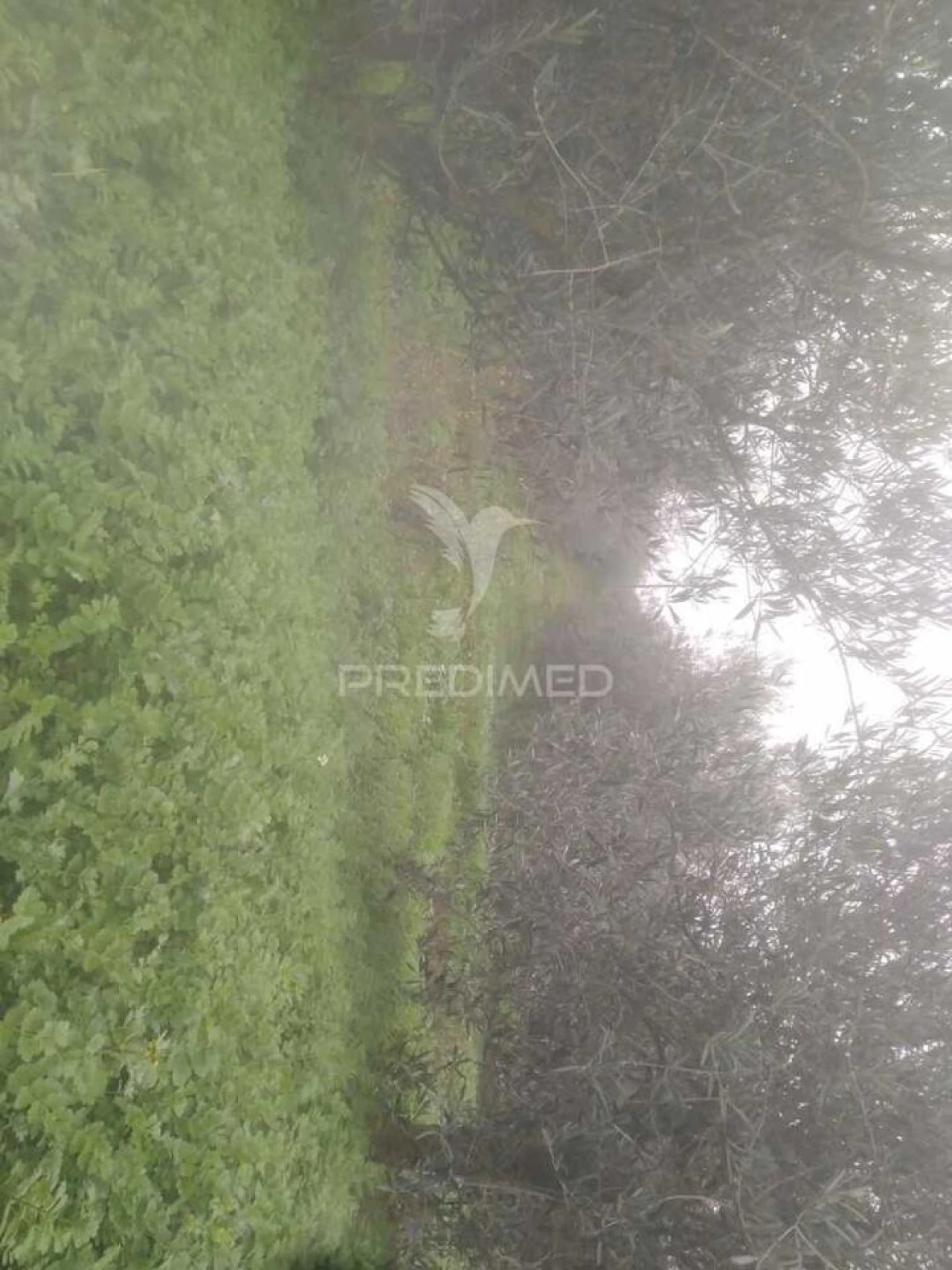 Terreno para Venda em Fontelo Foto 8