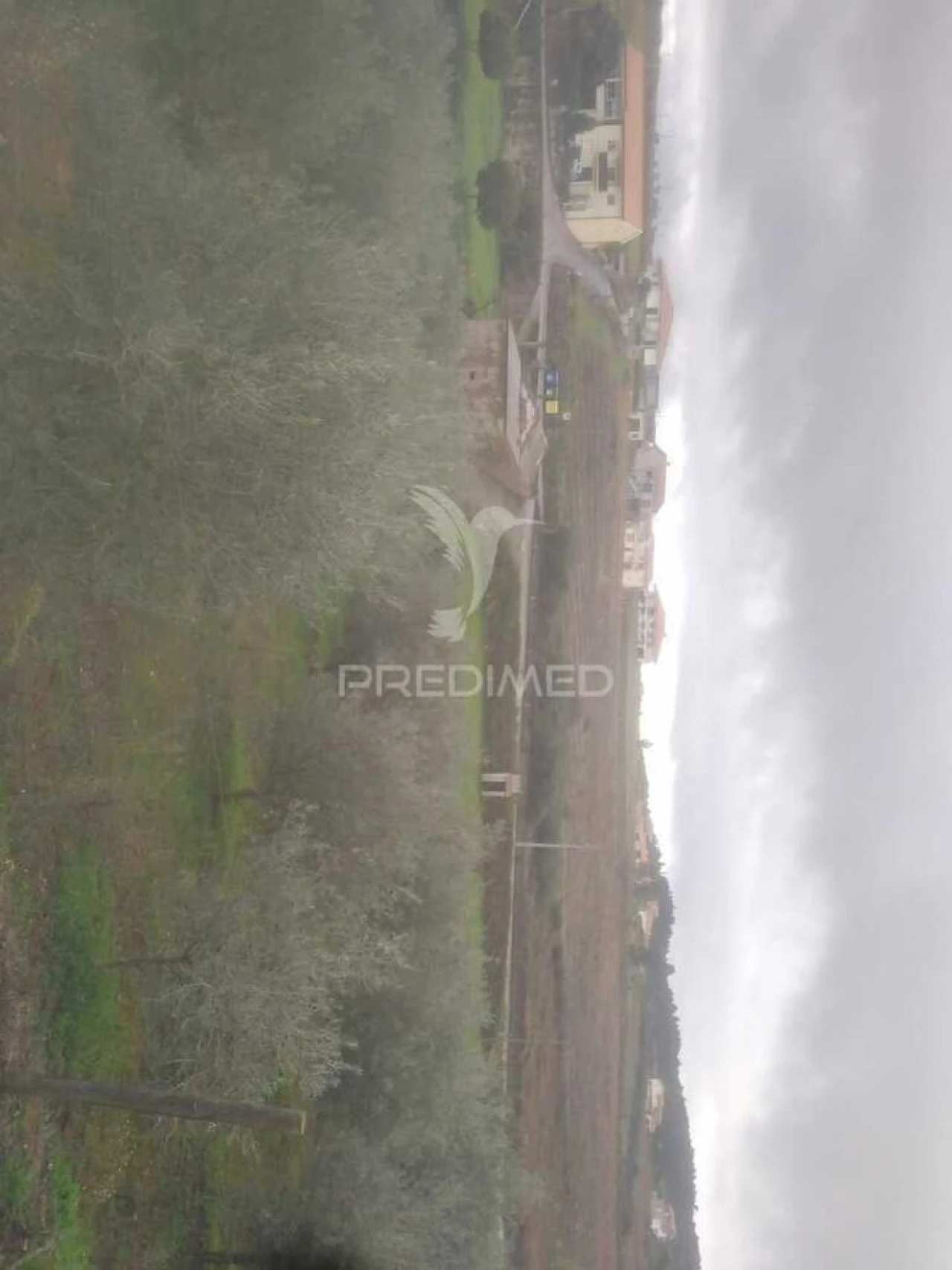 Terreno para Venda em Fontelo Foto 14