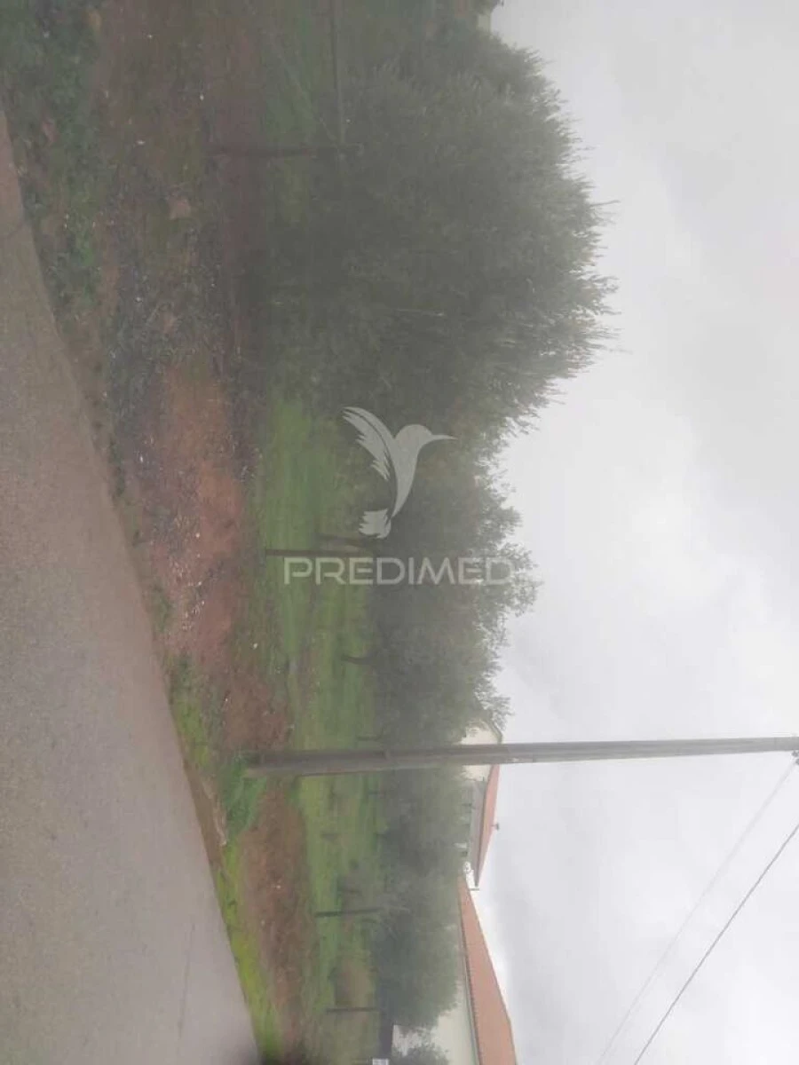 Terreno para Venda em Fontelo Foto 3