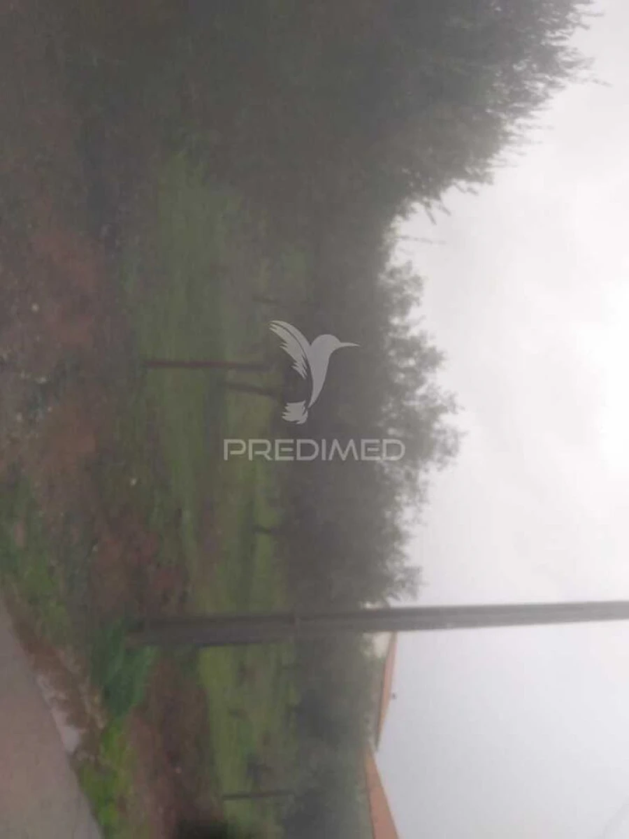 Terreno para Venda em Fontelo Foto 7