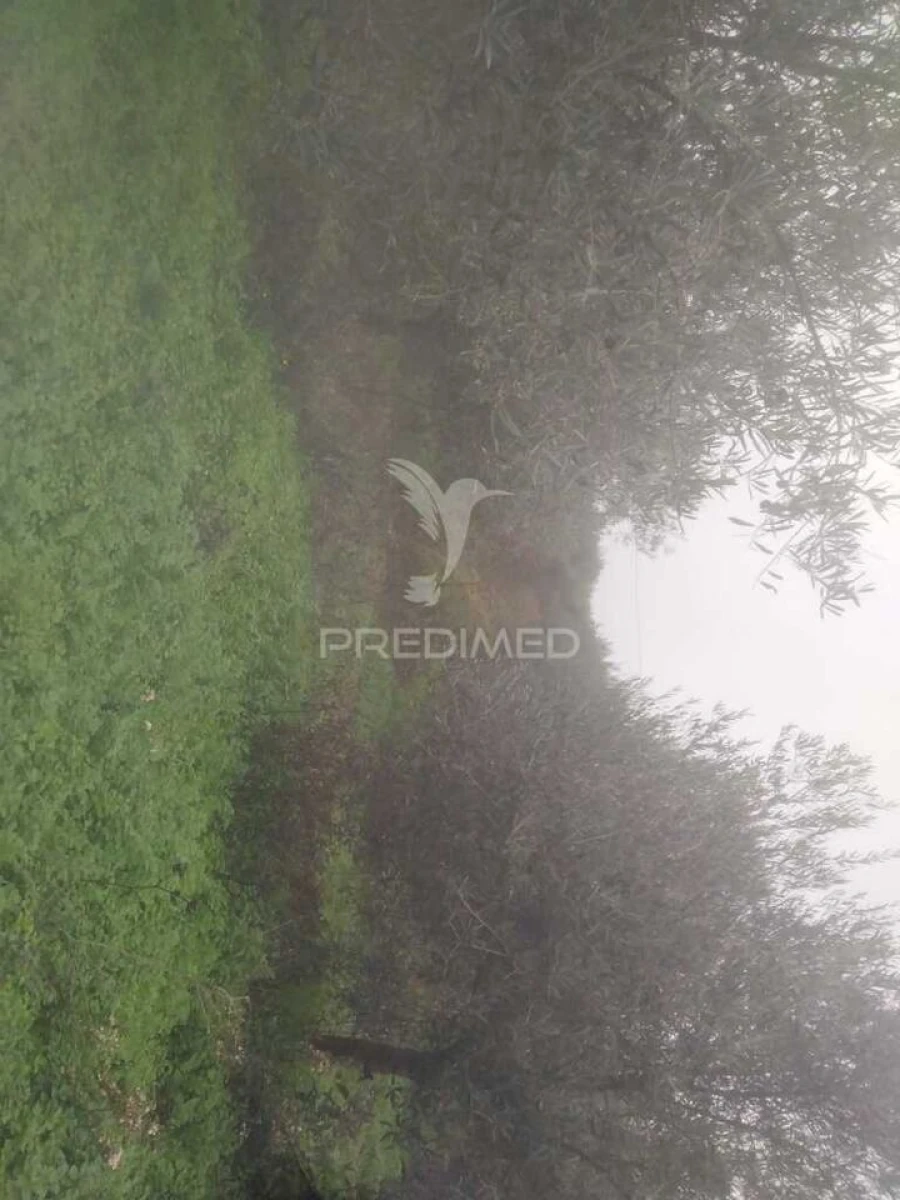 Terreno para Venda em Fontelo Foto 2