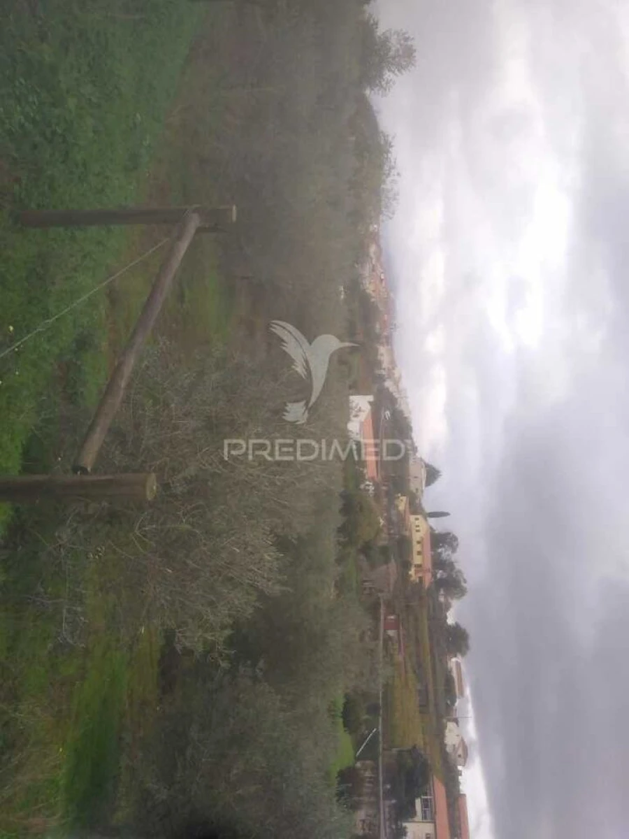 Terreno para Venda em Fontelo Foto 4