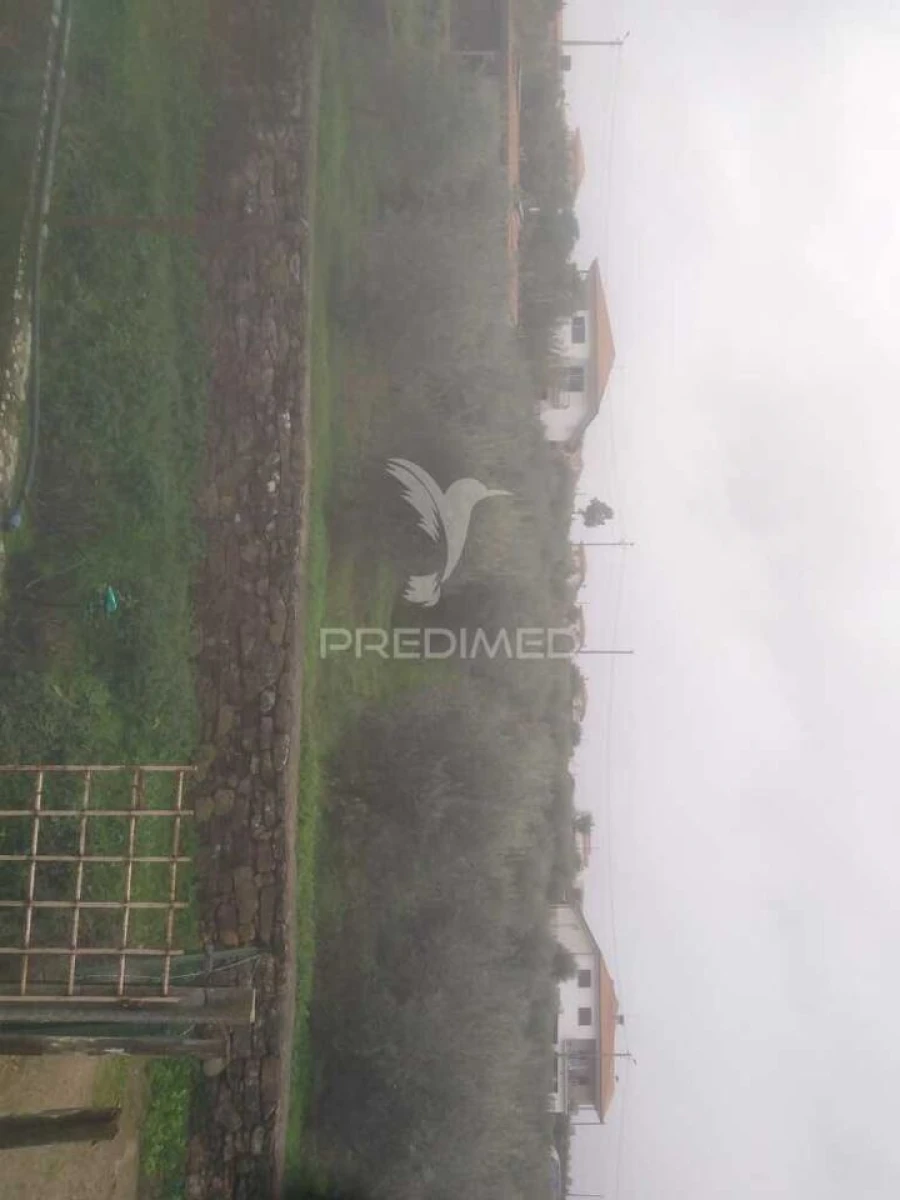 Terreno para Venda em Fontelo