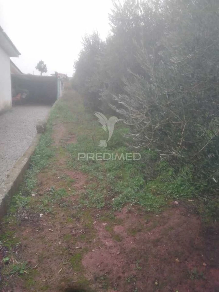 Terreno para Venda em Fontelo Foto 13