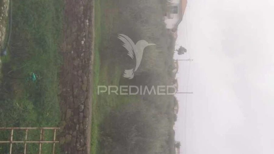 Terreno para Venda em Fontelo