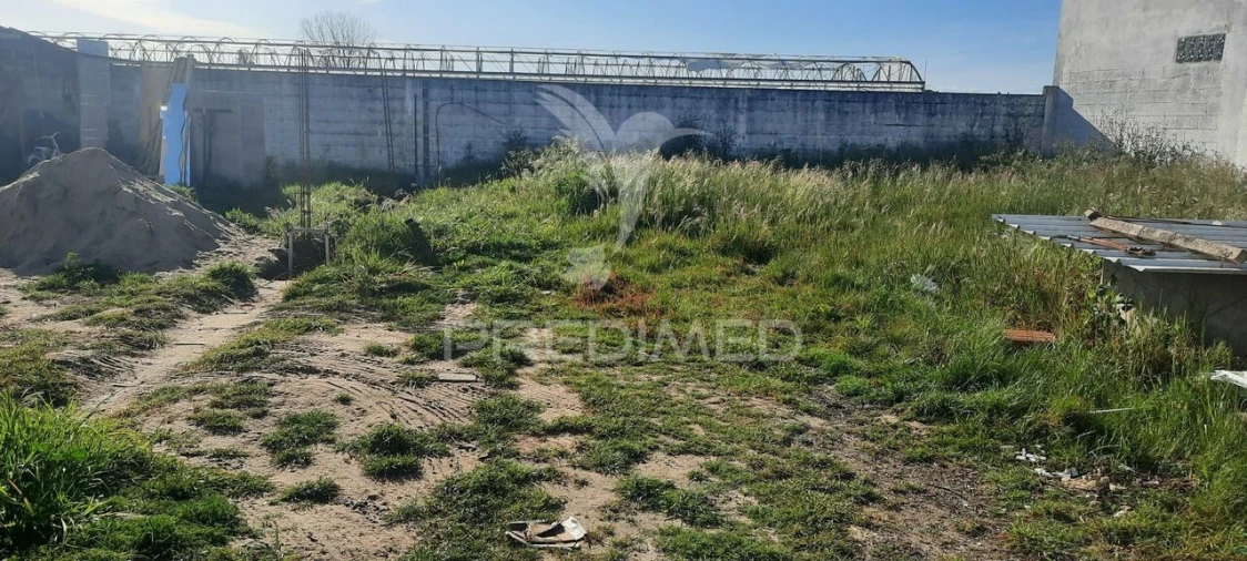 Terreno para Venda em Marinhais Foto 4