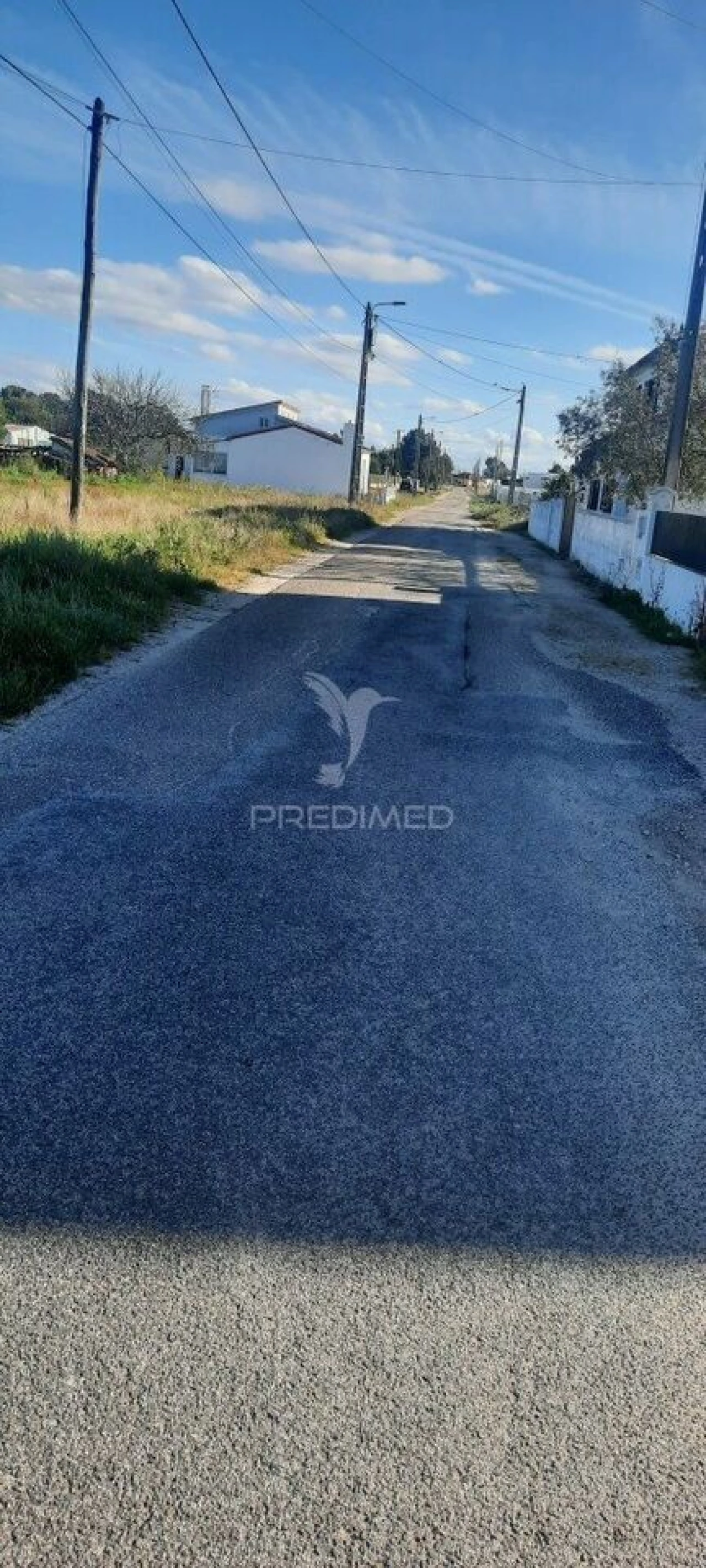 Terreno para Venda em Marinhais Foto 2