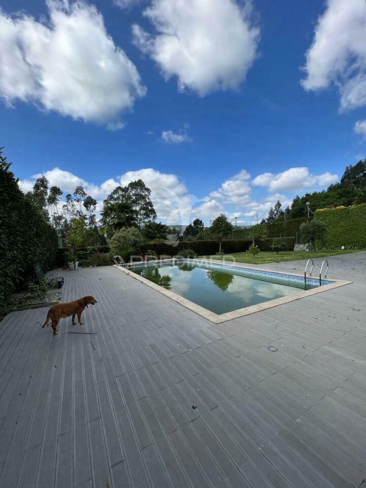 Moradia T4 para Venda em Barco Foto 36