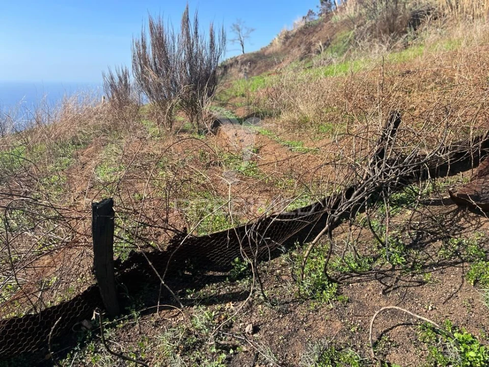 Terreno para Venda em Fajã da Ovelha Foto 9
