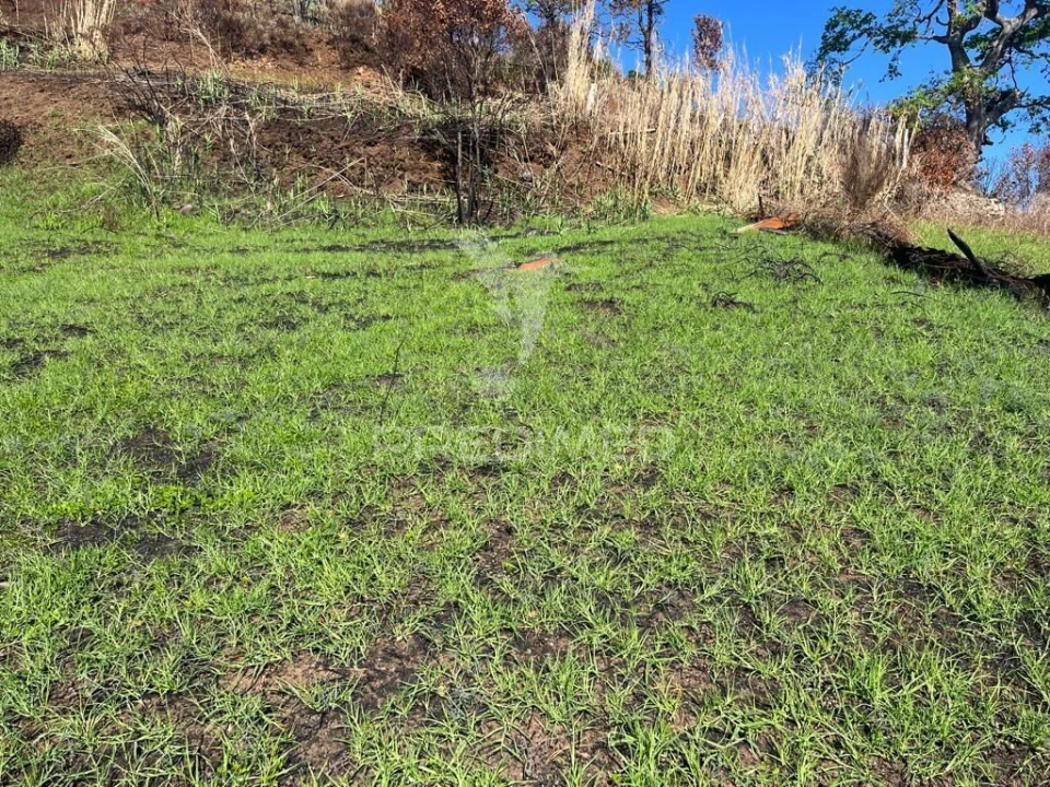 Terreno para Venda em Fajã da Ovelha Foto 6