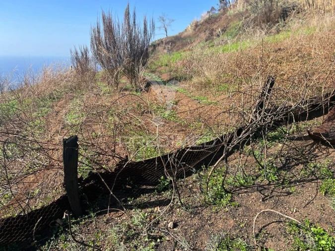 Terreno para Venda em Fajã da Ovelha Foto 9