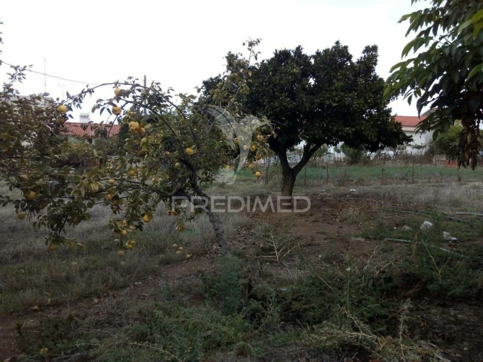 Terreno para Venda em Rio de Moinhos Foto 3