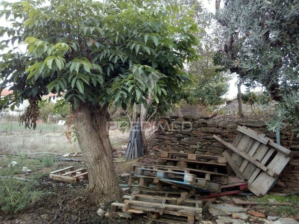 Terreno para Venda em Rio de Moinhos Foto 5