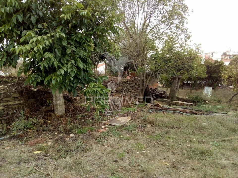 Terreno para Venda em Rio de Moinhos Foto 7