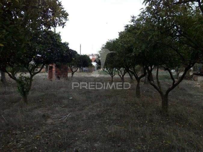 Terreno para Venda em Rio de Moinhos Foto 10