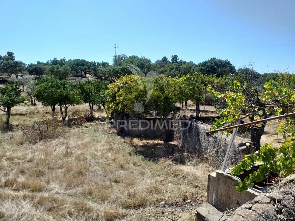 Terreno para Venda em Alagoa Foto 3
