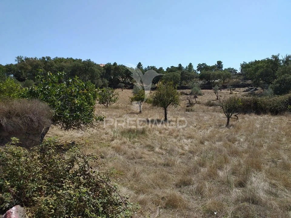 Terreno para Venda em Alagoa Foto 1