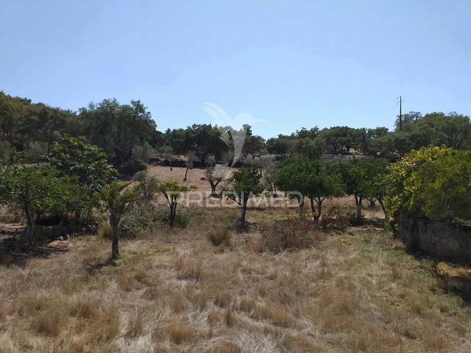 Terreno para Venda em Alagoa Foto 5